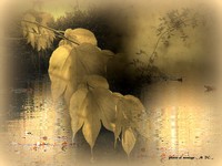 Automne_1_montages_photos_artistepeintremdc_peintre_mdc