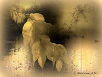 Automne_1_montages_photos_artistepeintremdc_peintre_mdc