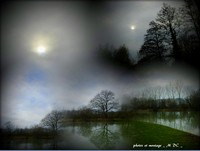 Le_marais_poitevin_montages_photos_artistepeintremdc_mdc